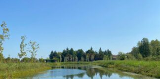 Parco della Pace, Giovanni Ottomano (FDI): “Sindaco Possamai e assessore Zilio si assumano la responsabilità dei ritardi” Un'immagine del Parco della Pace