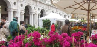 “Fiori, colori e…”, dal 19 al 21 aprile in piazza dei Signori