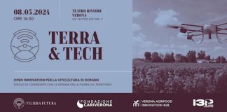 Fondazione Cariverona, Terra & Tech: open innovation per la viticoltura del futuro fondazione cariverona