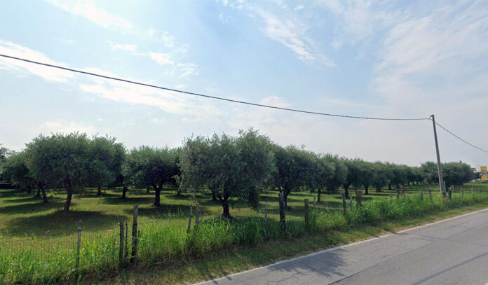 terreno-bassano-del-grappa