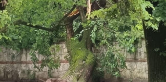 Maltempo, aggiornamento della situazione in Veneto. Continua a piovere, attenzione ai fiumi Maltempo aggiornamento situazione