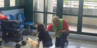 Al Niguarda e Fatebenefratelli Milano Cat Therapy per mille bambini