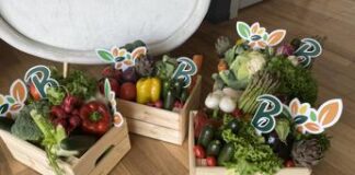 Alimentazione, l’indagine: quasi 7 consumatori su 10 sono flexitariani