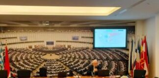 Ambiente, Romizi (Isde): “Prossima Commissione Ue dovrà riprendere Green Deal”
