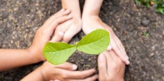 Ambiente: report, deboli misure di tutela e ripristino, continua consumo di suolo