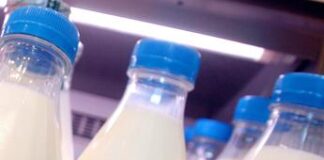 Aviaria in Usa nuovi controlli su latte e derivati, ‘no virus vivi e infettivi’