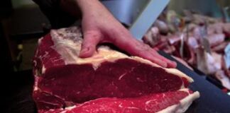 Aviaria, negativi test su carne venduta in negozi Usa