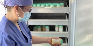 19 maggio, giornata mondiale della donazione del latte umano: la BLUD dell’Ospedale di Vicenza compie 10 anni blud san bortolo compie 10 anni