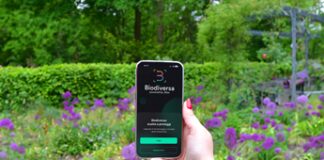Biodiversa, ‘snap and protect’, formula per monitorare la biodiversità e contribuire alla sua tutela tramite un’app gioco