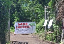 Europa Verde Vicenza: “Bosco Lanerossi, un parco da proteggere: chiesto incontro con l’amministrazione.” Bosco Lanerossi a Vicenza boschi urbani expettinatura Lanerossi