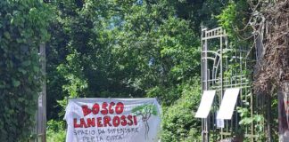 Bosco Lanerossi a Vicenza, attivisti e cittadini vogliono salvarlo: “Aiutateci a proteggere questo polmone verde patrimonio di tutta la città” Bosco Lanerossi a Vicenza boschi urbani expettinatura Lanerossi