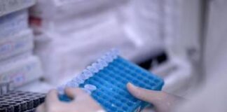 Cancro, mix di 2 farmaci potrebbe bloccare crescita glioblastoma: studio italiano