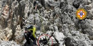 Cane scala montagna e resta bloccato: salvato