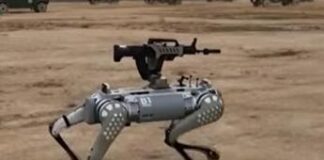 Cani robot pronti ad uccidere, Cina trasforma migliori amici dell’uomo in macchine da guerra – Video