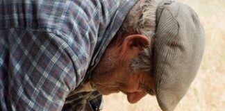 Consumi e abitudini, come è cambiato lo stile di vita in Sardegna