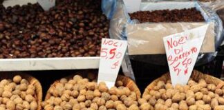 Da uova a noci cibi ‘dimenticati’che fanno bene, la lista degli scienziati