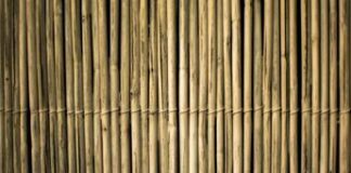 Dal bambù al vetro, la nuova frontiera dell’architettura sostenibile