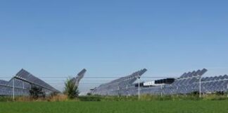 Dl Agricoltura, stop all’agrivoltaico se non permette l’attività agricola