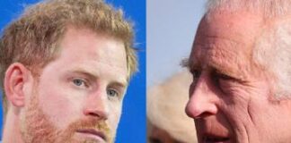 E’ stato Harry a non voler incontrare Carlo: ecco perché