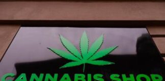 Eurispes, 6% italiani consuma spesso alimenti che contengono cannabis