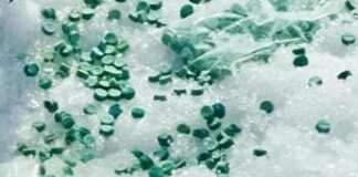 Fentanyl, è allerta in Italia per la ‘droga degli zombie’