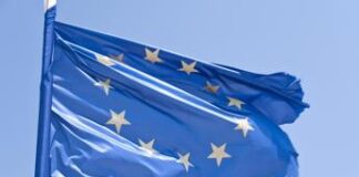 Fit for 55, l’UE approva le norme sulle fonti energetiche green