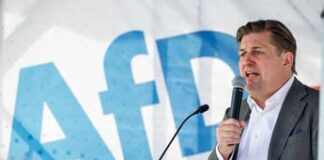 Germania, frase sulle SS: Afd vieta eventi pubblici al candidato di punta Krah