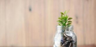 Greenwashing, le regole di etichettatura per i fondi ESG