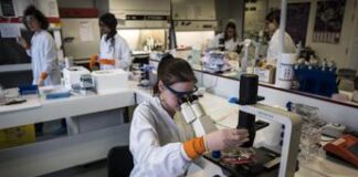 Hit mondiale degli scienziati in medicina, chi sono gli italiani al top
