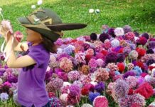 Intrecci di Pace nel giardino di Santa Corona: altissimo gradimento, ottimo risultato. E non finisce qui… Intrecci di pace nel giardino di santa Corona a Vicenza