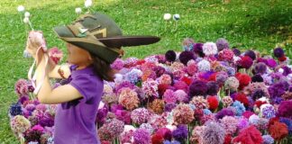 Intrecci di Pace nel giardino di Santa Corona: altissimo gradimento, ottimo risultato. E non finisce qui… Intrecci di pace nel giardino di santa Corona a Vicenza