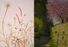 Il giardino dell’anima, mostra d’arte a cura del Museo d’arte sacra di Monte Berico Il giardino dell’anima