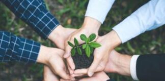 L’Anci detta le linee guida per le Comunità energetiche rinnovabili