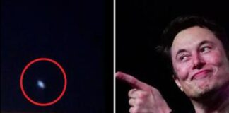 L’Ufo, l’Ucraina e Elon Musk: il mistero vola sui social