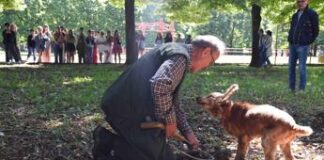 Leo, il cane cieco campione nella ricerca del tartufo: ecco la sua storia