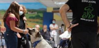 Non solo Pet Teherapy, gli amici a 4 zampe entrano nelle Rsa