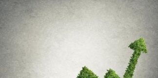 Obiettivo Net Zero, meno di due aziende su 10 sulla buona strada