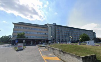 Giornata Malattie Rare: a Vicenza un incontro pubblico con gli esperti dell’Ulss 8 maglie alpine trapianto vicenza aggressione san bortolo cuore malattie rare