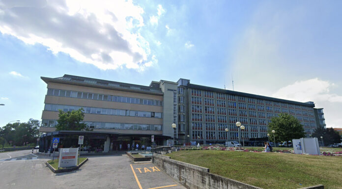 Giornata Malattie Rare: a Vicenza un incontro pubblico con gli esperti dell’Ulss 8 maglie alpine trapianto vicenza aggressione san bortolo cuore malattie rare