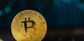 Pantera pronta a sostenere il progetto $TON