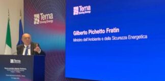 Pichetto: “Il portale Terra è un tassello per la programmazione efficiente della rete elettrica”