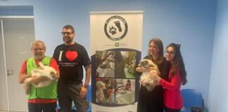 Piperno (Royal Canin Italia): “Cani e gatti migliorano il mondo per i meno fortunati”