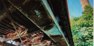 Debba e la buona amministrazione. Ecco perché questi 9 mesi non sono stati buttati Ponte di Debba