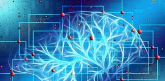 Rettrice Unifi: “Interessante confronto su intelligenza artificiale”
