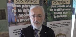 Sostenibilità, Fontana (Un. Olio Palma Sostenibile), ”Per 2050 serve +50% olio, impossibile senza quello di palma”