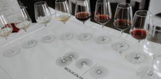 Vino, ‘Cultivating the future’: Assovini Sicilia ‘faro’ nel rinascimento enologico