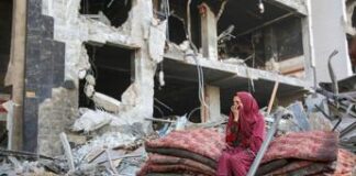 Vitale (Unops): “In Ucraina e Gaza su ricostruzione rete servizi”