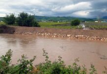 Danni all’agricoltura nel Vicentino, Coldiretti: “Perso fino al 70 per cento di alcune produzioni” maltempo, di riconosciuto stato emergenza