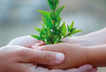 Sostenibilità, Coop Alleanza 3.0 premiata per il quarto anno consecutivo sostenibilità