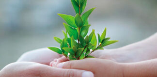 Sostenibilità ambientale, Il Sole 24 Ore: “Gli indici delle Pmi per avere più accesso al credito” sostenibilità